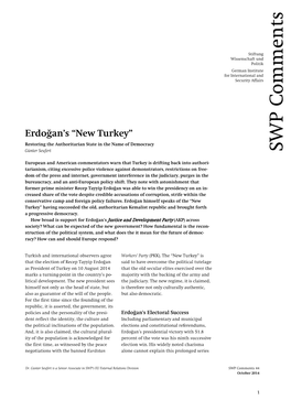 Erdoğan's “New Turkey”