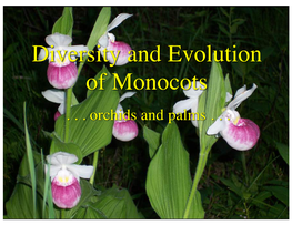 Diversity and Evolution of Monocots