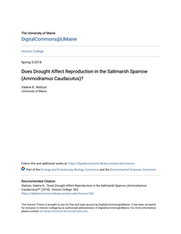 Does Drought Affect Reproduction in the Saltmarsh Sparrow (Ammodramus Caudacutus)?