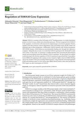Regulation of S100A10 Gene Expression