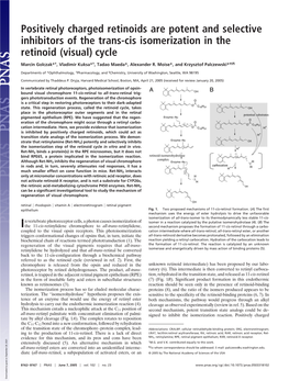 Positively Charged Retinoids Are Potent and Selective Inhibitors of the Trans-Cis Isomerization in the Retinoid (Visual) Cycle