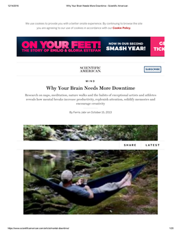 Why Your Brain Needs More Downtime ­ Scientific American