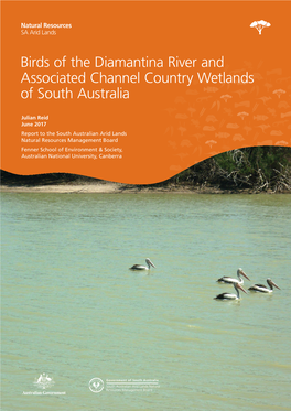 Birds of the Diamantina River and Associated Channel Country Wetlands of South Australia