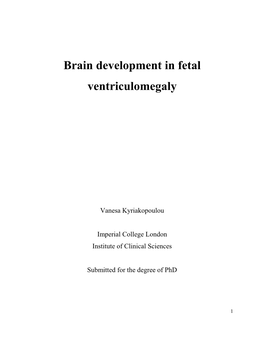 Brain Development in Fetal Ventriculomegaly