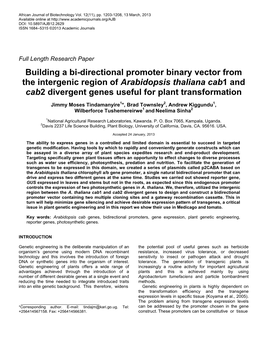 Building a Bi-Directional Promoter Binary Vector from the Intergenic Region of Arabidopsis Thaliana Cab1 and Cab2 Divergent Genes Useful for Plant Transformation