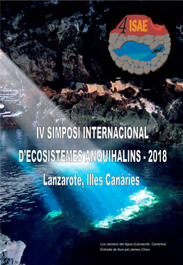 (Lanzarote, Canàries). Entrada De Llum Pel Jameo Chico. IV International Symposium for Anchialine Ecosystems