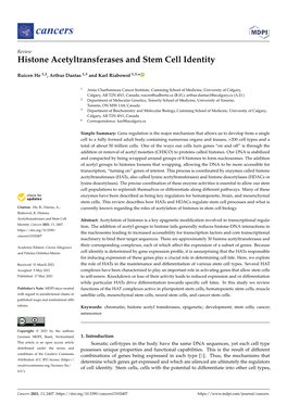 Histone Acetyltransferases and Stem Cell Identity