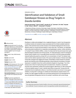 Identification and Validation of Small-Gatekeeper Kinases As Drug