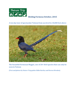 Birding Formosa October 2015 Report