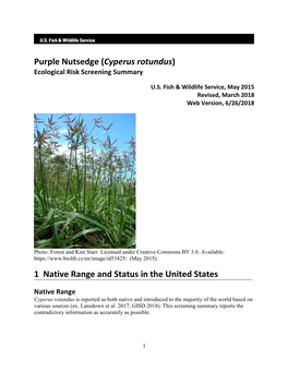 Cyperus Rotundus) Ecological Risk Screening Summary