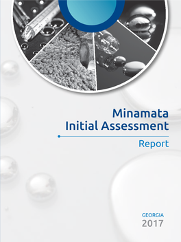 Minamata Initial Assessment Report