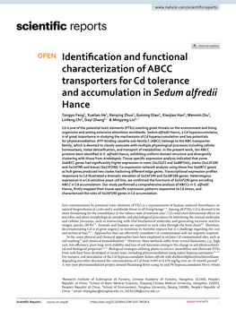 Identification and Functional Characterization of ABCC