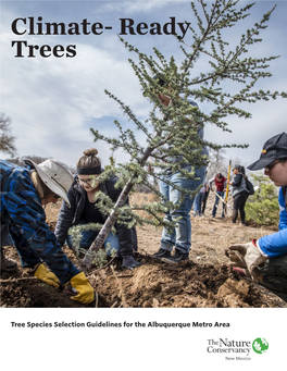 Climate Ready Trees Report