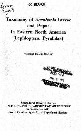Taxonomy of Acrobasis Larvae and Pupae in Eastern North America (Lepîdoptera: Pyralidae)