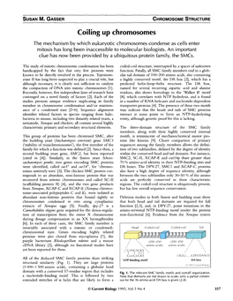 Coiling up Chromosomes the Mechanism by Which Eukaryotic Chromosomes Condense As Cells Enter Mitosis Has Long Been Inaccessible to Molecular Biologists