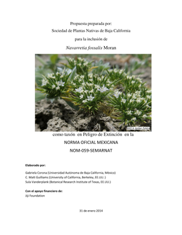 Navarretia Fossalis Moran Como Taxón En Peligro De Extinción En La