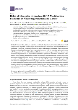 Roles of Elongator Dependent Trna Modification Pathways In