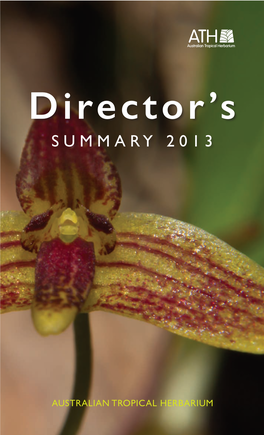 ATH Director's Summary 2013