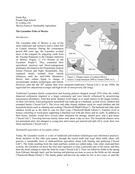 Sustainable Agriculture the Lacandon Tribe of Mexico Introductio