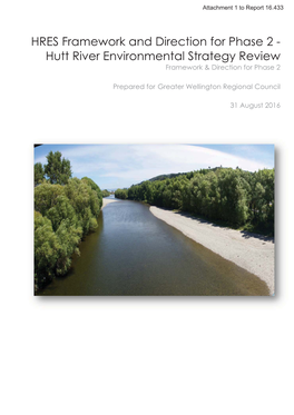 Hutt River Environmental Strategy Review Framework & Direction for Phase 2