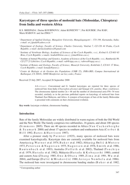 Karyotypes of Three Species of Molossid Bats (Molossidae, Chiroptera) from India and Western Africa