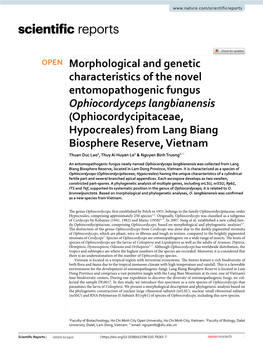 Morphological and Genetic Characteristics of the Novel