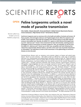 Feline Lungworms Unlock a Novel Mode of Parasite Transmission