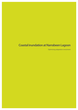 Coastal Inundation at Narrabeen Lagoon—Optimising Adaptation