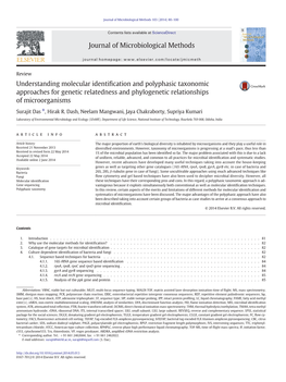 Understanding Molecular Identification and Polyphasic