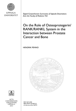 On the Role of Osteoprotegerin/RANK/RANKL