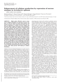 Enhancement of Cellulose Production by Expression of Sucrose Synthase in Acetobacter Xylinum (Cellulose Synthesis͞sucrose Metabolism)