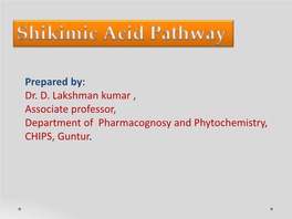 Shikimic Acid Pathway