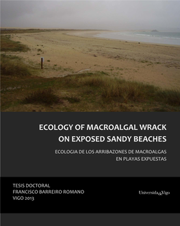 Ecology of Macroalgal Wrack on Exposed Sandy Beaches