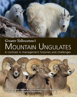 Mountain Ungulates a Contrast in Management Histories and Challenges