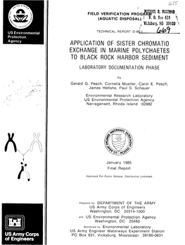 Application of Sister Chromatid Exchange in Marine Polychaetes to Black Rock Harbor Sediment Laboratory Documentation Phase