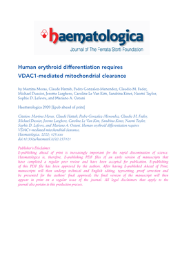 Human Erythroid Differentiation Requires VDAC1-Mediated Mitochondrial Clearance by Martina Moras, Claude Hattab, Pedro Gonzalez-Menendez, Claudio M
