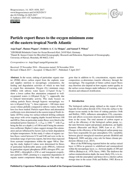 Particle Export Fluxes to the Oxygen Minimum Zone of the Eastern