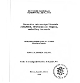 Sistemática Del Complejo Tillandsia Utriculata L. (Bromeliaceae): Filogenia, Evolución Y Taxonomía
