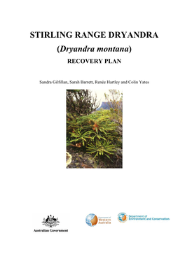 Dryandra Montana)