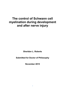 The Control of Schwann Cell Myelination During Development and After Nerve Injury