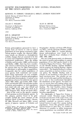 Genetic Polymorphism in New Guinea Starlings of the Genus Aplonis