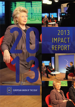 2013 Impact Report