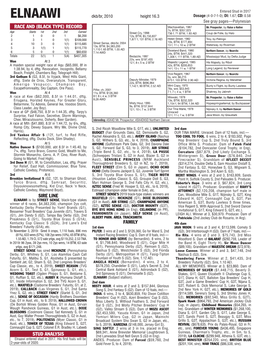 Race and (Black Type) Record Sire Line