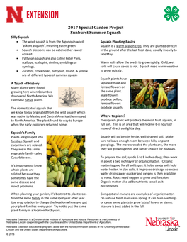 2017 Special Garden Project Sunburst Summer Squash