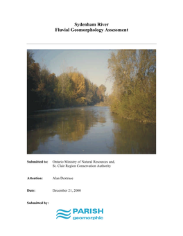 Sydenham River Fluvial Geomorphology Assessment, 2000