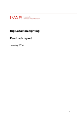 Big Local Foresighting Feedback Report