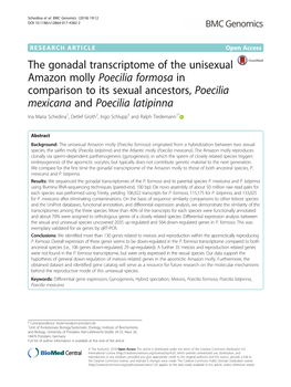 The Gonadal Transcriptome of the Unisexual Amazon Molly Poecilia