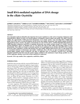 Small RNA-Mediated Regulation of DNA Dosage in the Ciliate Oxytricha