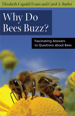 Why Do Bees Buzz?