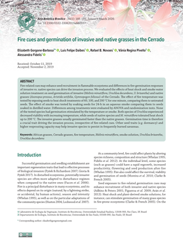 Fire Cues and Germination of Invasive and Native Grasses in the Cerrado